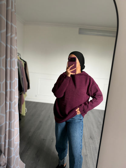 Pull Aniya à capuche Prune