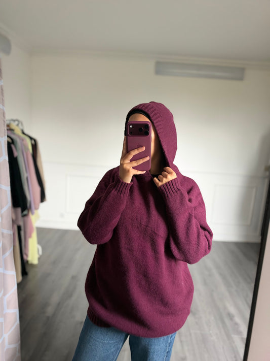 Pull Aniya à capuche Prune